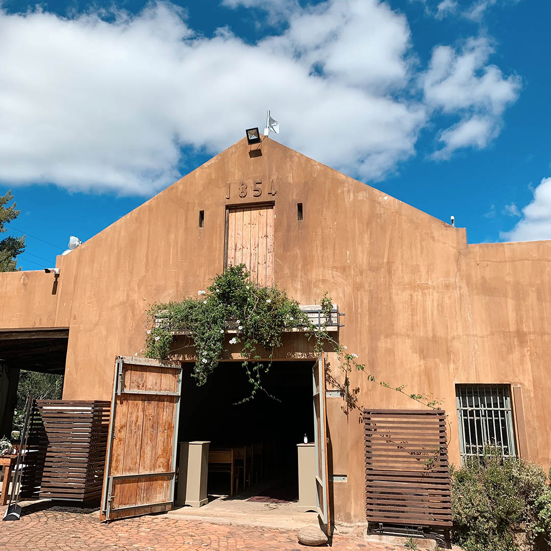 Langkloof Roses Discover Wellington